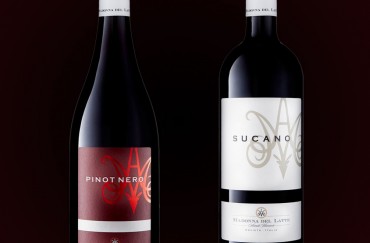 Our Latest Red Vintages